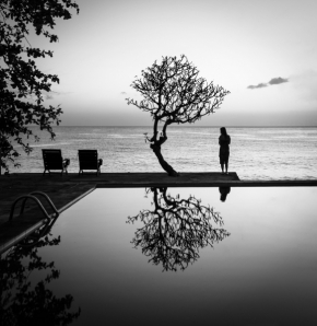 Černobílé snění - Fotograf roku - Top 20 - VIII.kolo - Pool tree