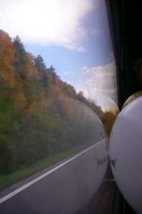 Příroda v detailu - Za oknom autobusu