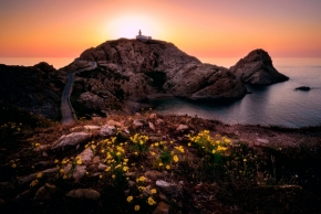 Luční kvítí - Korsické květy