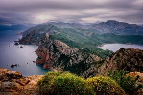 Luční kvítí - V horách Korsiky