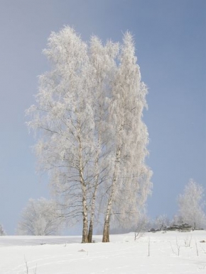 Blanka Macešková - Zima na horách