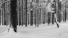 Nedotčená příroda - Zimní linie