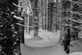 Nedotčená příroda - Zima jako v pohádce