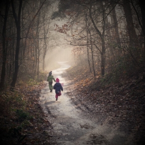 Cyklisté, běžci, cestovatelé a poutníci - Fotograf roku - Top 20 - VI.kolo - Děti v lese