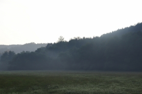 Nedotčená příroda - Mlha na louce
