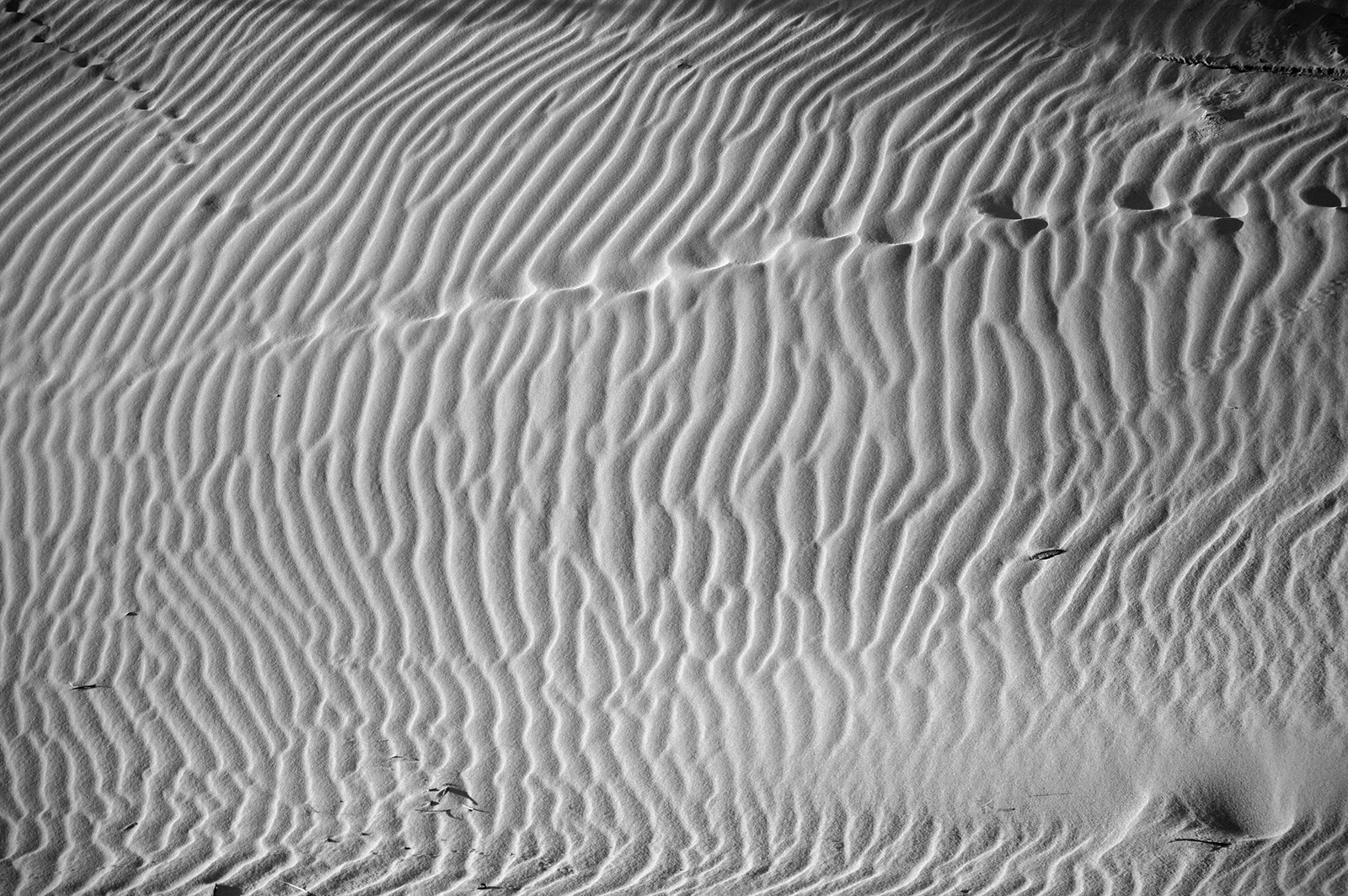 Vzory pouště