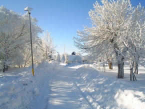 A zima je krásná - Cestička k domovu