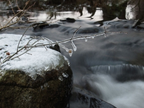 A zima je krásná - Větvička u potoka