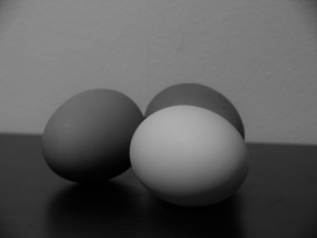 Zátiší - Vajíčka 
