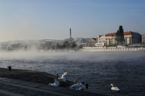 Tiché město a jeho architektura - Na pražské náplavce 1
