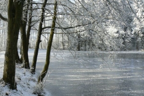A zima je krásná - Zamrzlý rybník v okolí Studené na Jindřichohradecku