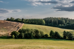 Marek Žižlavský - green landscape 1