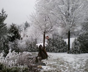 A zima je krásná - Zahrada v zimě