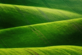 Odstíny zelené - Na zelenej vlne