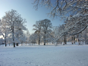 A zima je krásná - Zimní park