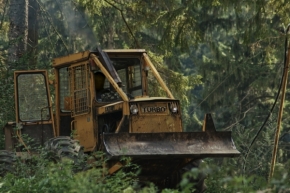 Motorky, auta, stroje - Pro dříví do lesa