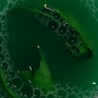 Vlaďka Antoňů -Stoočka zelená