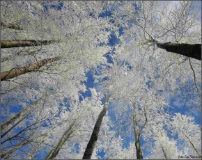A zima je krásná - Zima na Bukovci