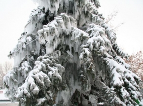 A zima je krásná - Mrazíkova zima v Čechách