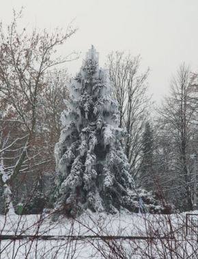 A zima je krásná - Mrazíkova zima v Čechách 2