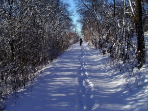 A zima je krásná - Cesta na Nedvězí.