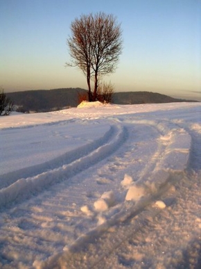 Kouzlení zimy - Fotograf roku junior - Kouzelná procházka