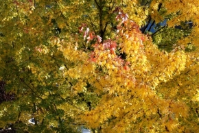 Jan Klabal - Barvy podzimu
