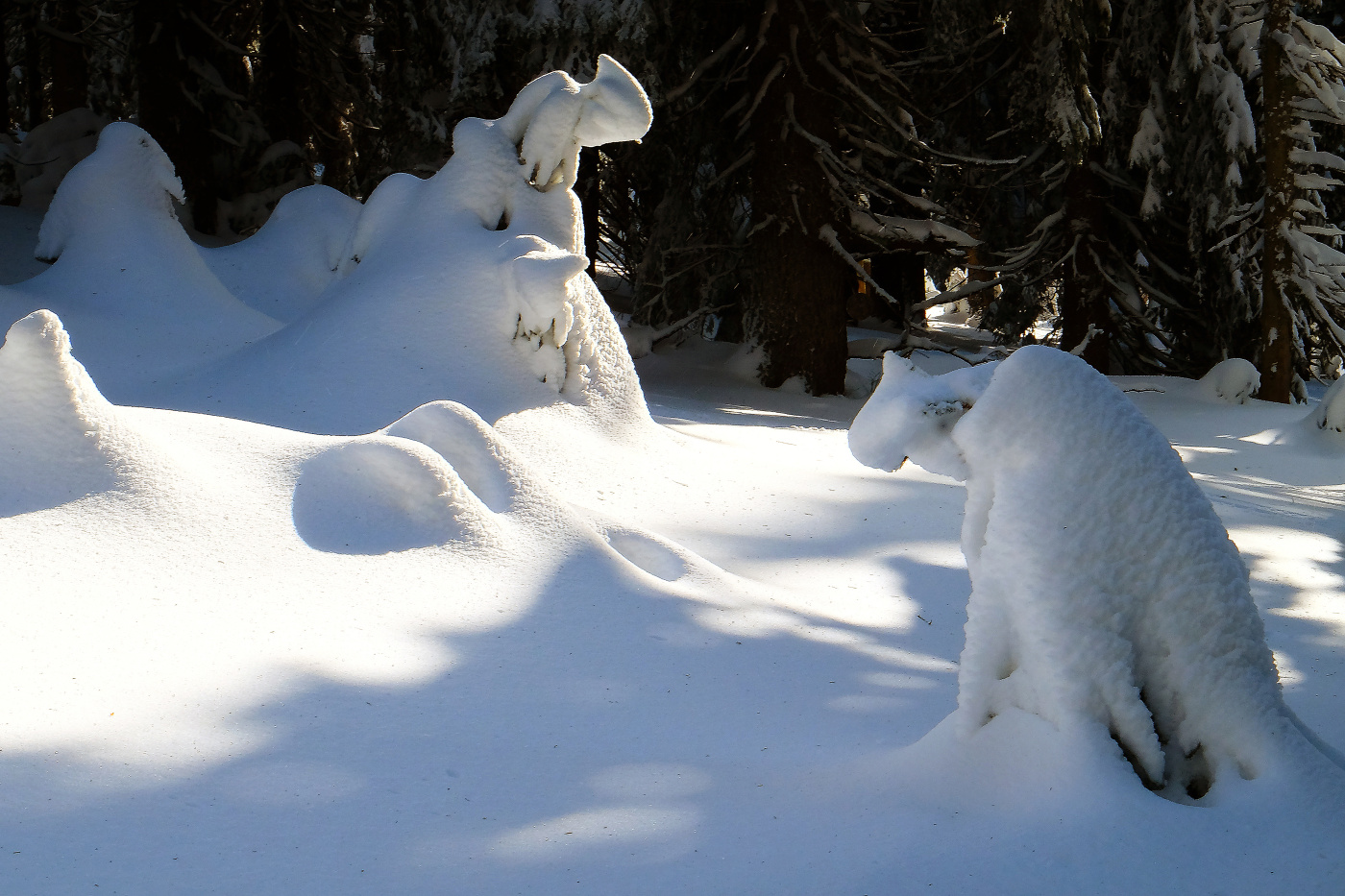 Sněhové výtvory - kočka a pes