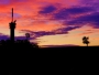 Dana Klimešová -zapadá slunce a barví se do fialovo-růžové