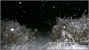 A zima je krásná - Fotograf roku - kreativita - Zimní noc