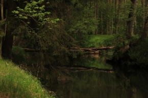 Jan Malý - Klidná řeka Svitavka
