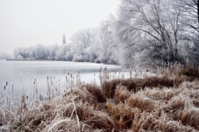 Milan Raška - Zima u jezera