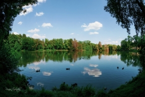 Řeky a potoky, moře a jezera - Chrašický rybník