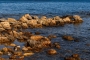 Jan Kliner -Moře a moře kamení