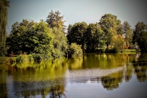 Řeky a potoky, moře a jezera - U zámeckého rybníka v Telči