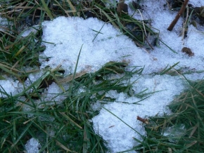Kateřina Hochmanová - Jak vypadá sníh?!
