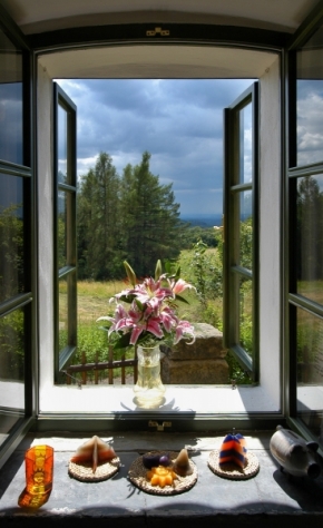 Pohled z okna - Lilie
