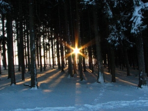Kouzlení zimy - Slunce vs. Les