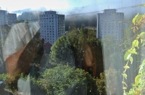 Pohled z okna - Do ranní mlhy