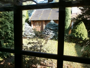 Pohled z okna - Dvorek