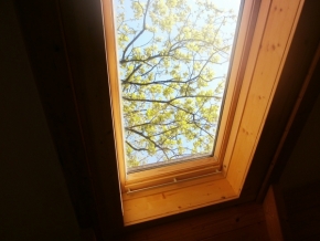 Pohled z okna - Jaro