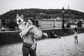 Dominik Veringer - Se psem v náručí
