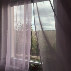 Pohled z okna - za domem