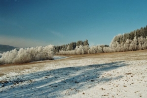 A zima je krásná - Šumavská krajina 2