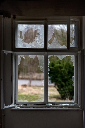 Pohled z okna - Keř
