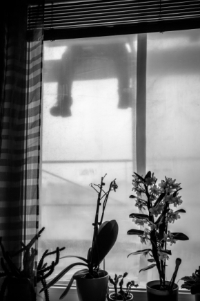Pohled z okna - Fotograf roku - Kreativita - I.kolo - Pauza