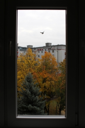 Pohled z okna - Uprostred jesene