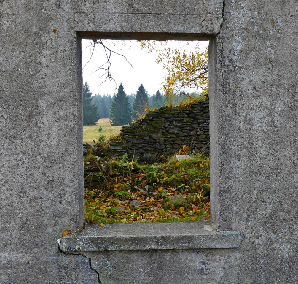 okno do přírody