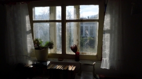 Pohled z okna - Okno