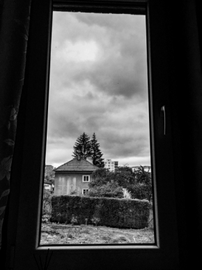 Pohled z okna - Výhled do zahrady